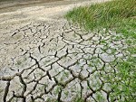 changements climatiques