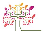 psychogenealogie