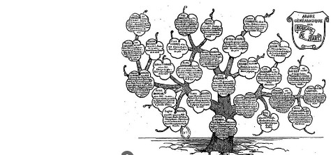 Arbre généalogique