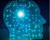 Cerveau avec réseau