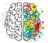 Cerveau et couleurs vives
