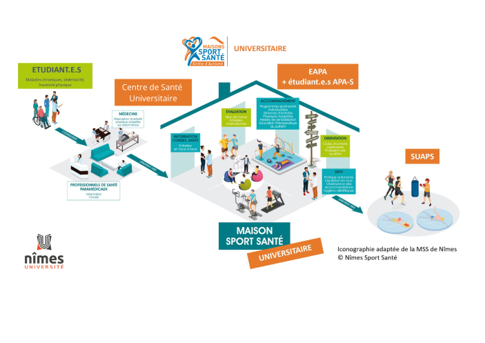 Schema de fonctionnement de la maison sport santé universitaire