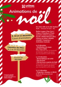 animations de noel